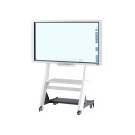 Whiteboard_Ricoh_D6510